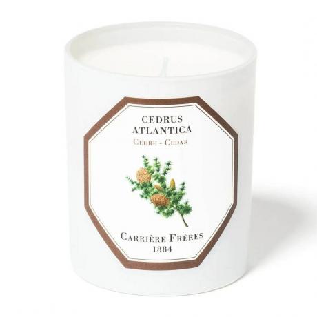 Carrière Frères Cedar Candle bela sveča na belem ozadju