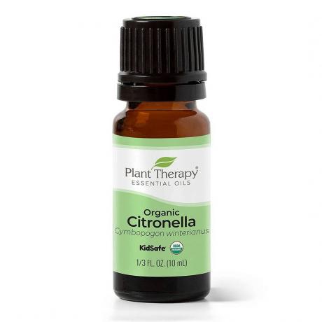 Plant Therapy Essential Oils Citronella biologica bottiglia marrone con etichetta verde e bianca e tappo nero su sfondo bianco